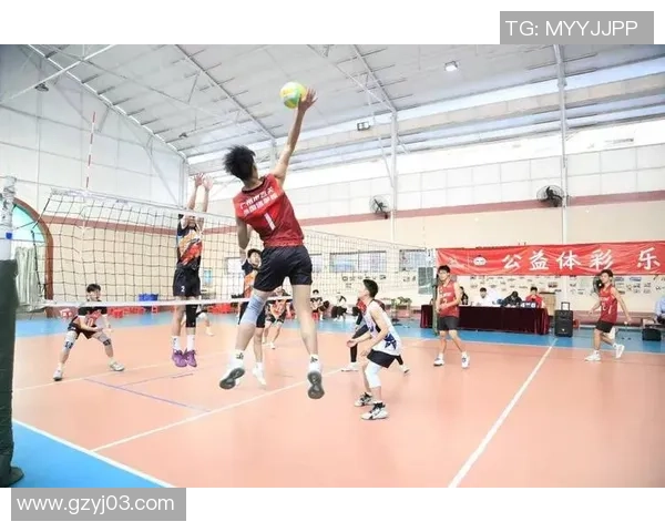 排球意识实力榜单权威发布引发热议各队表现一览无余